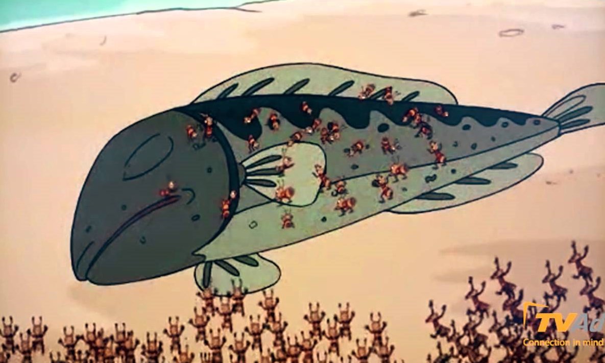 Mẹ con cá chuối (Bài đọc hiểu tiếng Việt lớp 4 - đề số 19)